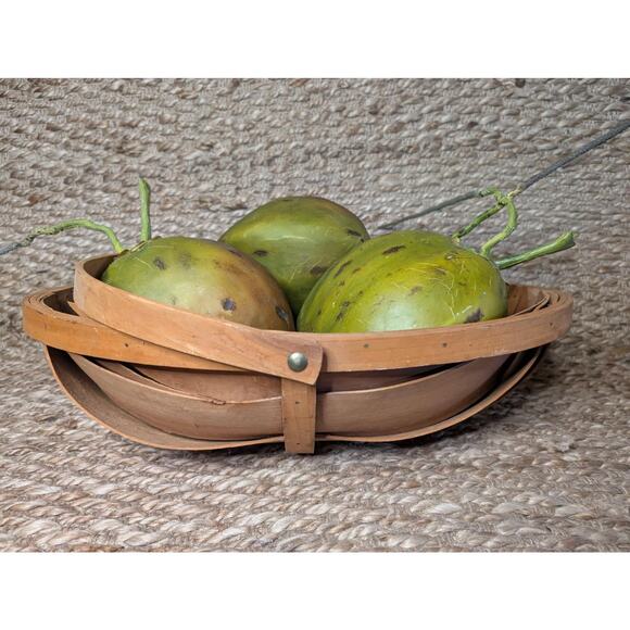 Large Coconut Artificial Fruit Basket, Home Tabletop Kitchen Decor - Picture 4 of 12